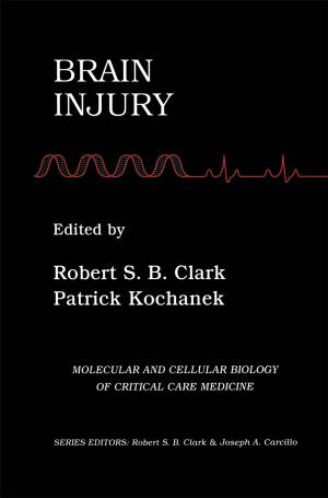Cover of the book Brain Injury by K.L. Mayden, R.V. Giglia, Norbert Gleicher