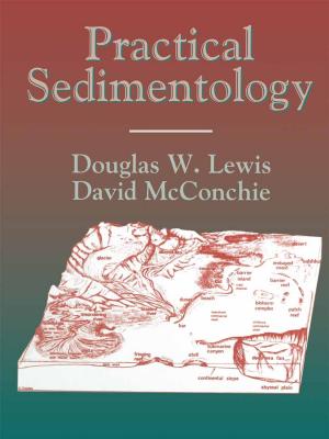 Cover of the book Practical Sedimentology by Donna J. Souza