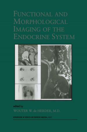 Cover of the book Functional and Morphological Imaging of the Endocrine System by 
