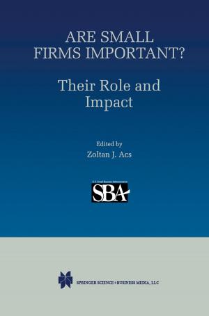 Cover of the book Are Small Firms Important? Their Role and Impact by Melvyn L. Fein