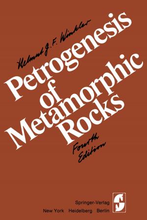 Cover of the book Petrogenesis of Metamorphic Rocks by Audrey Terras