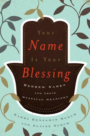 Cover of the book Your Name Is Your Blessing by Elio Frattaroli, Elaine Zickler, Salman Akhtar, Stanley J. Coen, Robert Kravis, Jeanne Bailey, Desy Safán-Gerard, D. M. D. Singletary