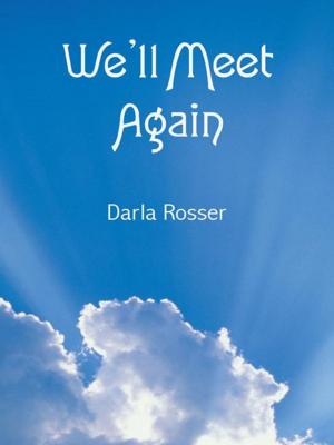 Cover of the book We’Ll Meet Again by Barbara K. Mezera