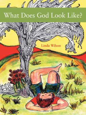 Cover of the book What Does God Look Like? by J. Melvin Zink