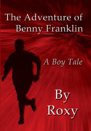 Cover of the book The Adventure of Benny Franklin: A Boy Tale by Jenny Stanton