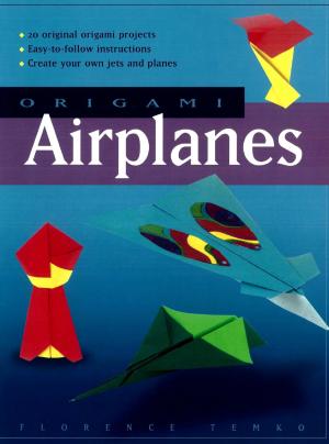 Cover of the book Origami Airplanes by 