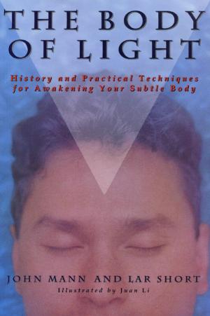 Cover of the book Body of Light by Daniel Kogan, Sun-Jin Kim