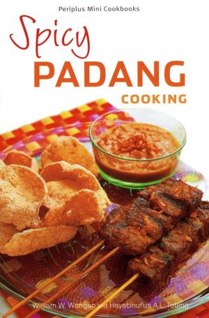 Book cover of Mini Spicy Padang Cooking