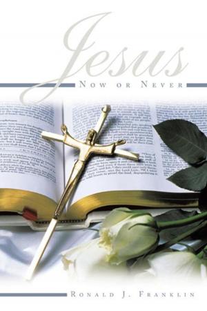 Book cover of Jesus Now or Never