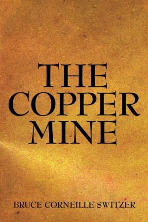 Cover of the book The Copper Mine by Harry Senthill