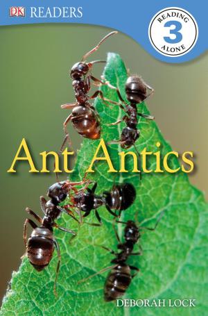 Book cover of DK Readers L3: Ant Antics
