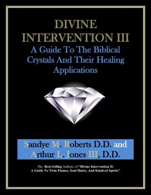 Cover of the book Divine Intervention III by Scott Jenkins