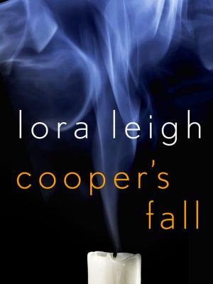 Cover of the book Cooper's Fall by J.A. Howell