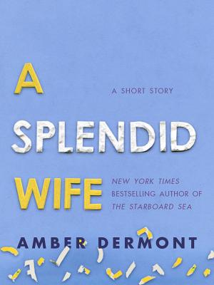 Cover of the book A Splendid Wife by Kristen Race, PhD