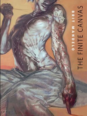 Cover of the book The Finite Canvas by Bruce DeSilva