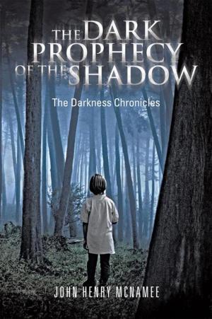 Cover of the book The Dark Prophecy of the Shadow by Chita Johnson