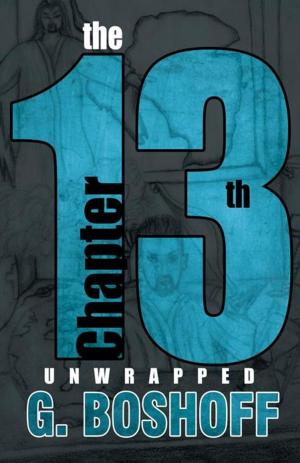 bigCover of the book The 13Th Chapter by 
