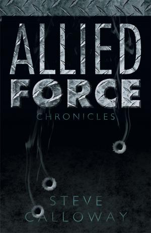 Cover of the book Allied Force by Kim Stewart