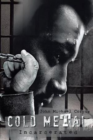 Cover of the book Cold Metal by Alan Cumming