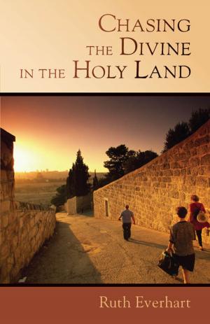 Cover of the book Chasing the Divine in the Holy Land by Anthony B. Robinson, Robert W. Wall