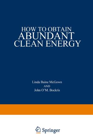 Cover of the book How to Obtain Abundant Clean Energy by David Robert Stauffer, Jeanne Trinko Mechler, Michael A. Sorna, Kent Dramstad, Clarence Rosser Ogilvie, Amanullah Mohammad, James Donald Rockrohr