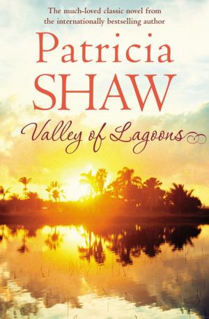 Book cover of Valley of Lagoons