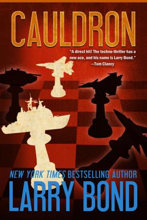 Cover of the book Cauldron by William E. Levine