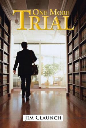 Cover of the book One More Trial by David A. Emery