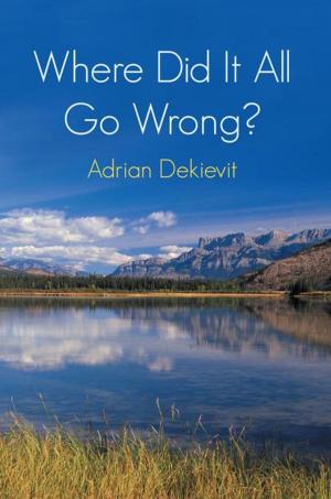 bigCover of the book Where Did It All Go Wrong? by 