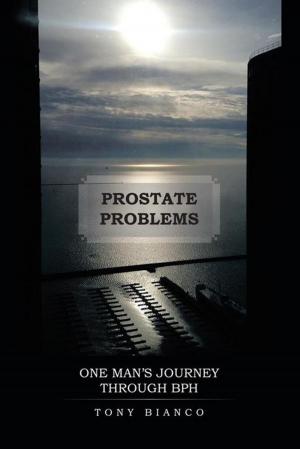 Cover of the book Prostate Problems by John Z. Guzlowski