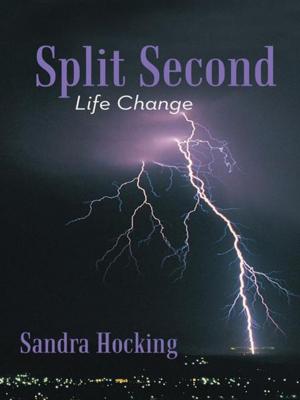 Cover of the book Split Second by Ashim Kumar Bhattacharyya