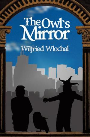 Cover of the book The Owl’S Mirror by Stephen T. Moskey