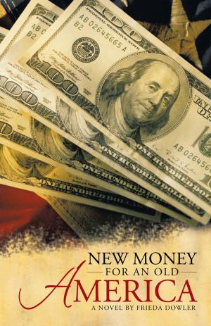 Cover of the book New Money for an Old America by Scott Crowley