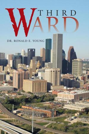 Cover of the book Third Ward by Fr. Steven Scherrer