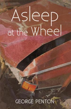 Cover of the book Asleep at the Wheel by CJ Scarlet