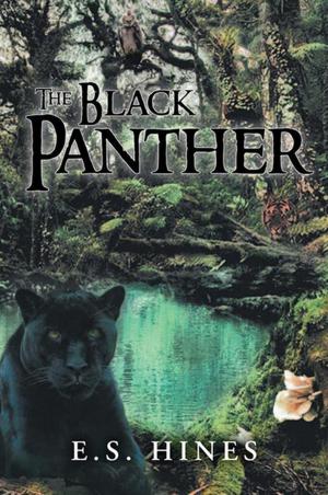 Book cover of The Black Panther