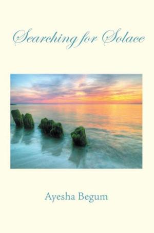 Cover of the book Searching for Solace by David Holland