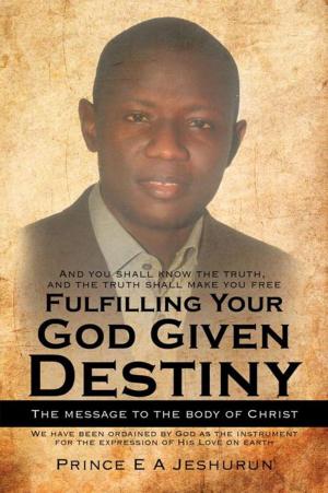 Cover of the book Fulfilling Your God Given Destiny by Malcolm Chamberlin
