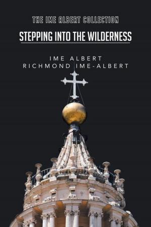 bigCover of the book Stepping into the Wilderness by 