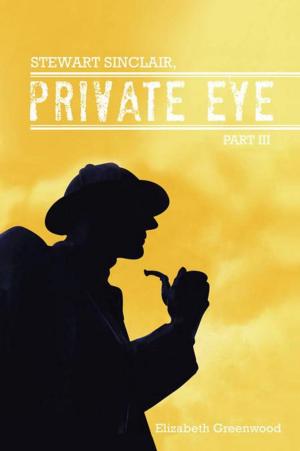 Cover of the book Stewart Sinclair, Private Eye by K. Rareheart