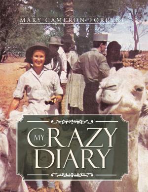 Cover of the book My Crazy Diary by William B. Franklin