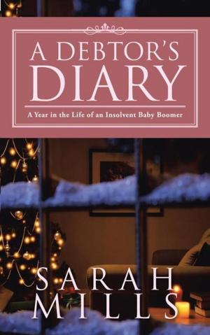 Cover of the book A Debtor’S Diary by David Carpenter