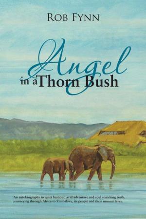 Cover of the book Angel in a Thorn Bush by Robert Popovich