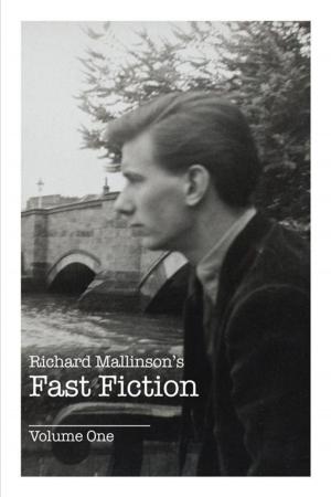 Book cover of Richard Mallinson's Fast Fiction