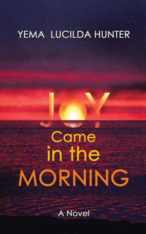 Cover of the book Joy Came in the Morning by Maths