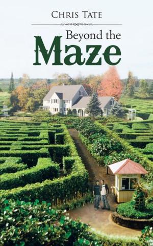 Cover of the book Beyond the Maze by Shyla Colt