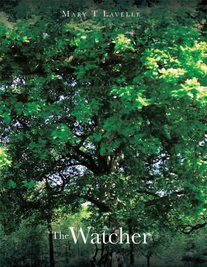 Cover of the book The Watcher by Brook ZR Mthethwa