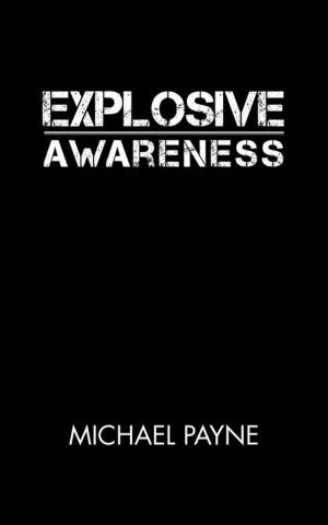 Book cover of Explosive Awareness