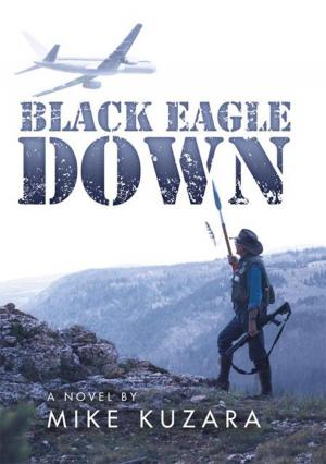 Cover of the book Black Eagle Down by Richard W. Luebbert Mdiv.