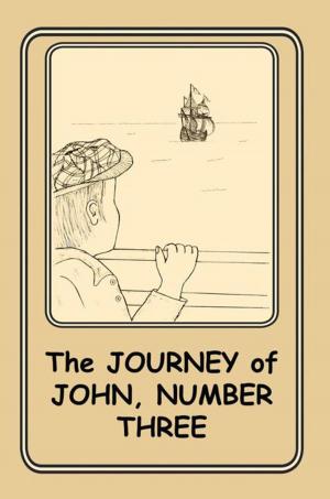 Cover of the book The Journey of John, Number Three by Dr. Irvin Lloyd Francis